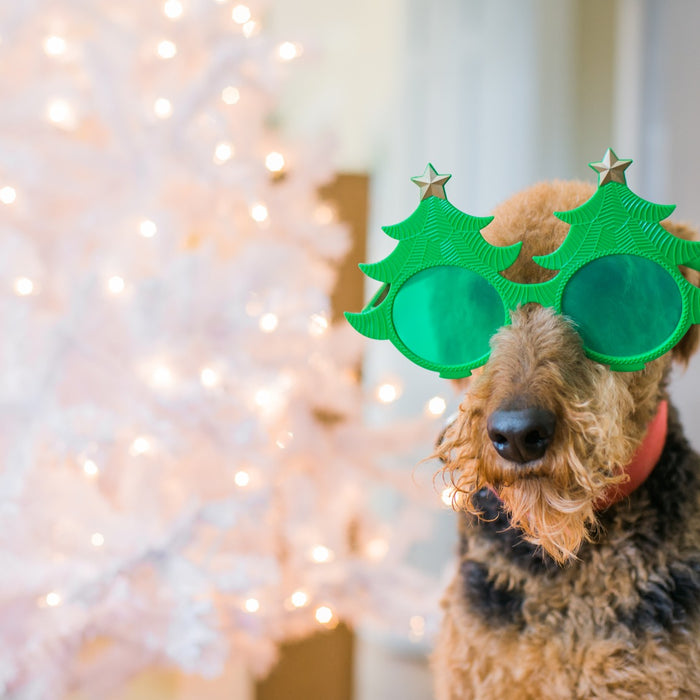 10 ways to prepare your online store for the 2016 holiday season