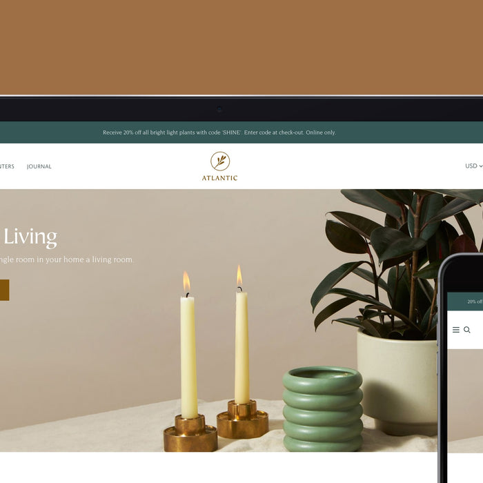 Atlantic 14.0 adds live search, sub-collections, and more