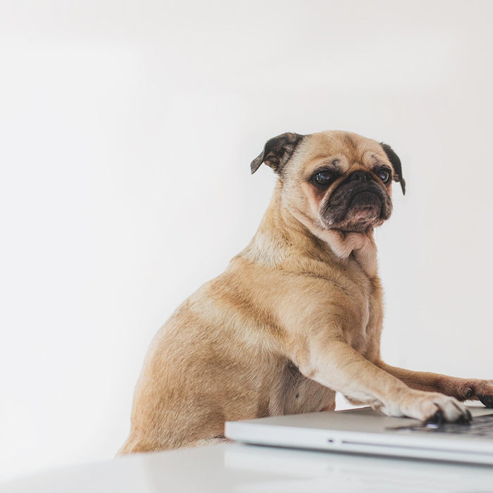 Introducing responsive images for all Shopify themes