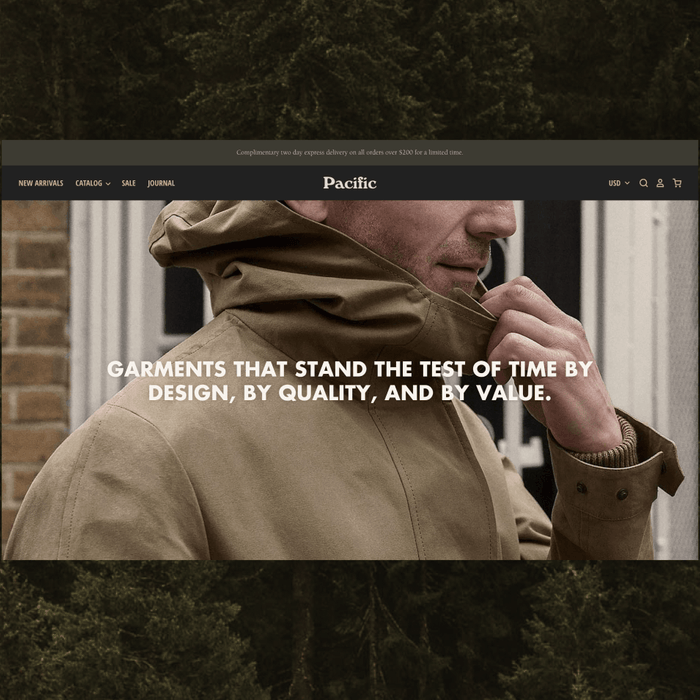 Pacific: The perfect Shopify theme to help you grow